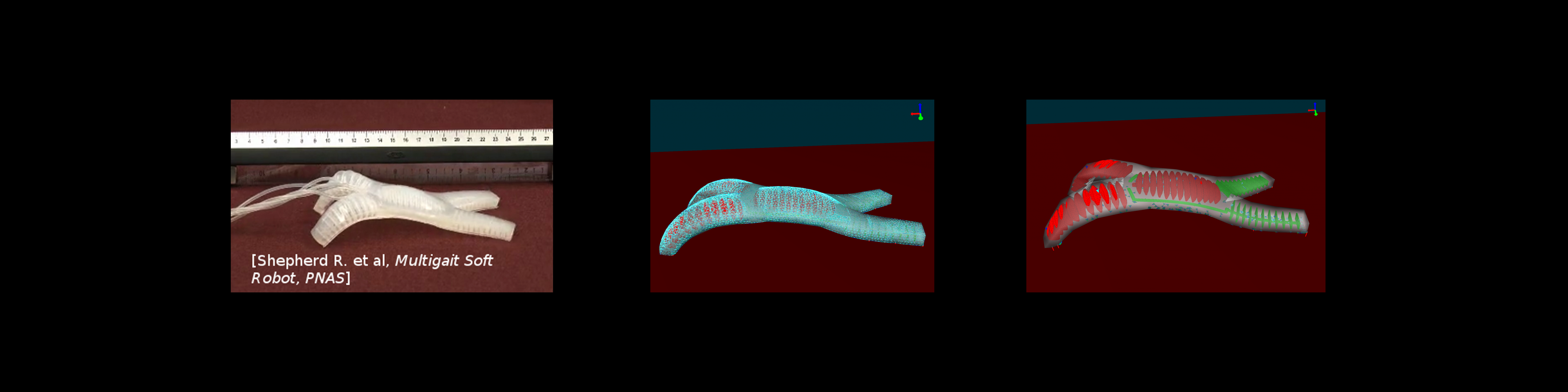 Starfish robot