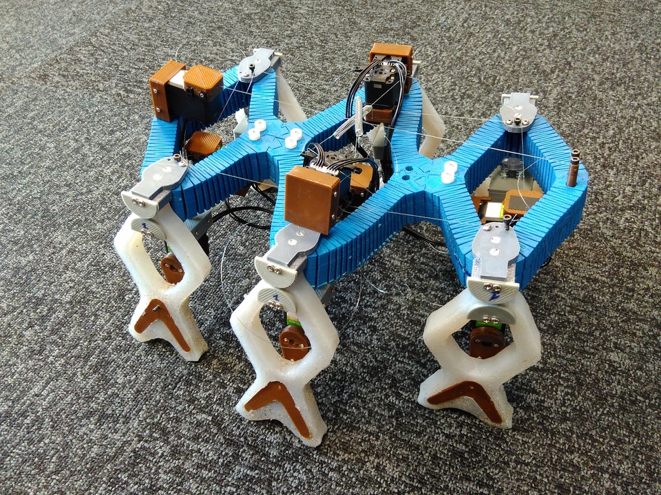 sofia robot